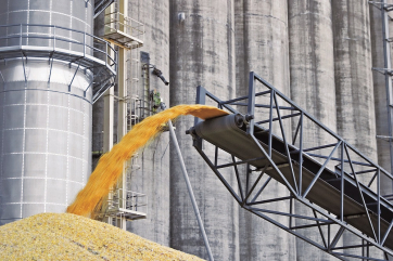 Украина в полтора раза увеличила экспорт зерновых